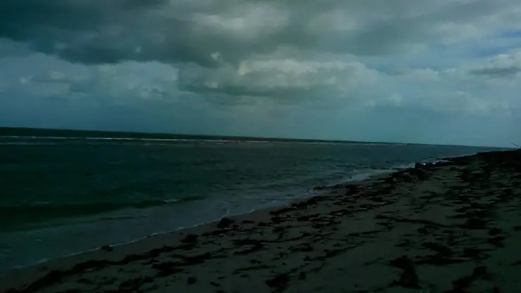 ÚLTIMA HORA_ Anuncian cierres de puertos en la costa yucateca ante amenaza del Huracán Milton.
