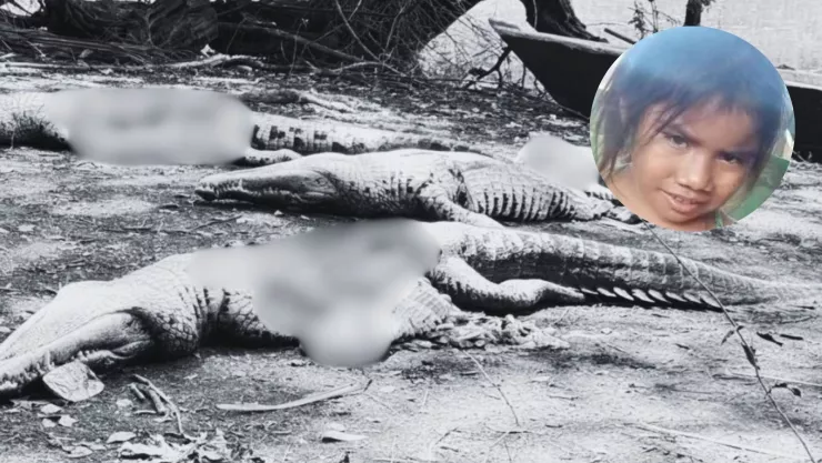 VIDEO | Hallan cuerpo de una niña dentro del estómago de un cocodrilo en Guatemala
