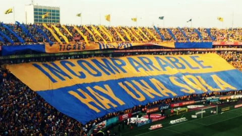 AFICI&Oacute;N TIGRES