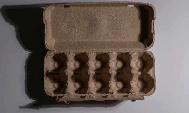 carton de huevo.png