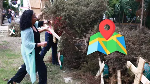 ¿Dónde tirar mi árbol de Navidad en Cancún? Ubica el centro de acopio más cercano aquí