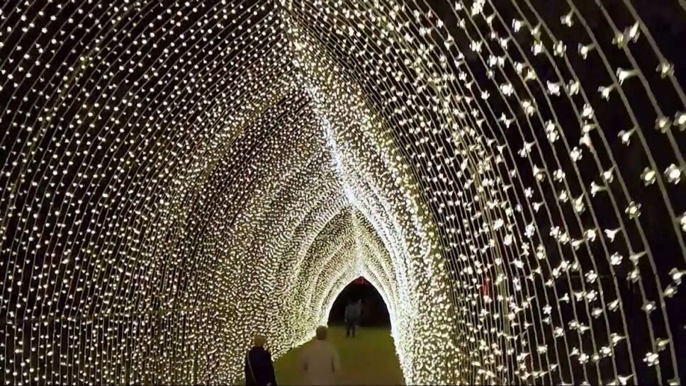 foto1_LIGHTSCAPE_ESPECTACULO_NAVIDEÑO_LOS_ANGELES.jpg