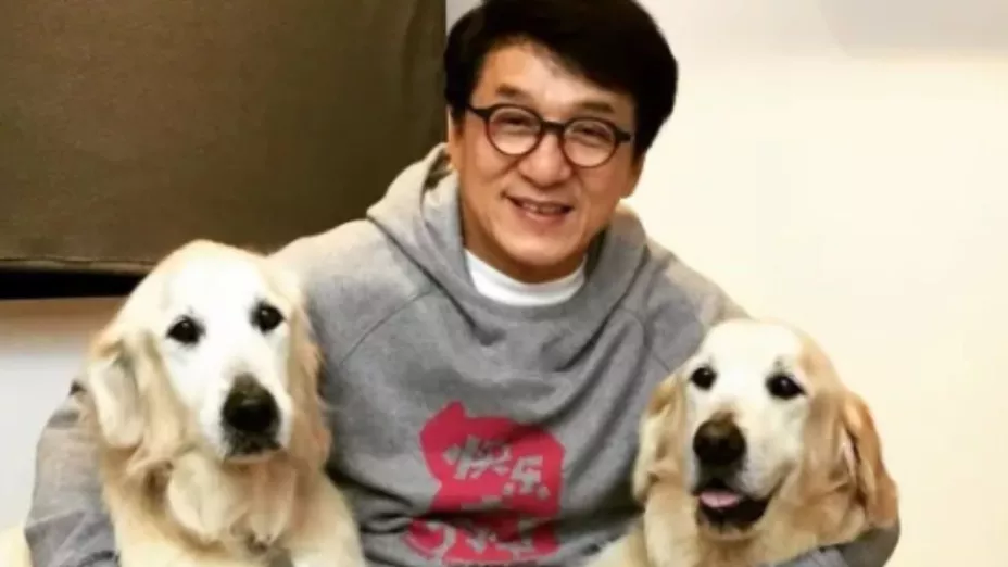 Rumores sobre la muerte de Jackie Chan inundan las redes sociales