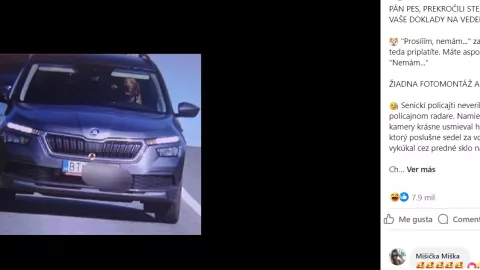 perro-manejando-avenida-eslovaquia-cámara-de-vigilancia-policia