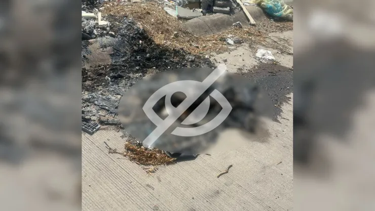 Tiran perro en basurero clandestino de Culiacán y le prenden fuego