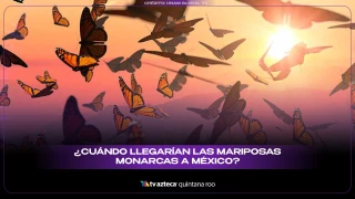 ¿Cuándo llegarían las mariposas monarcas a México?