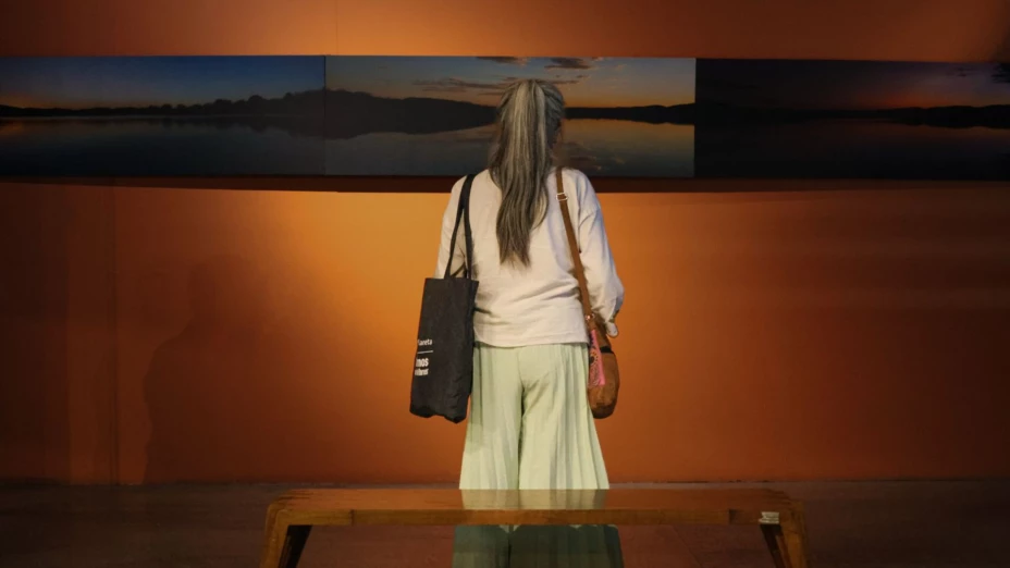 “Planeta complejo. Diversidad”