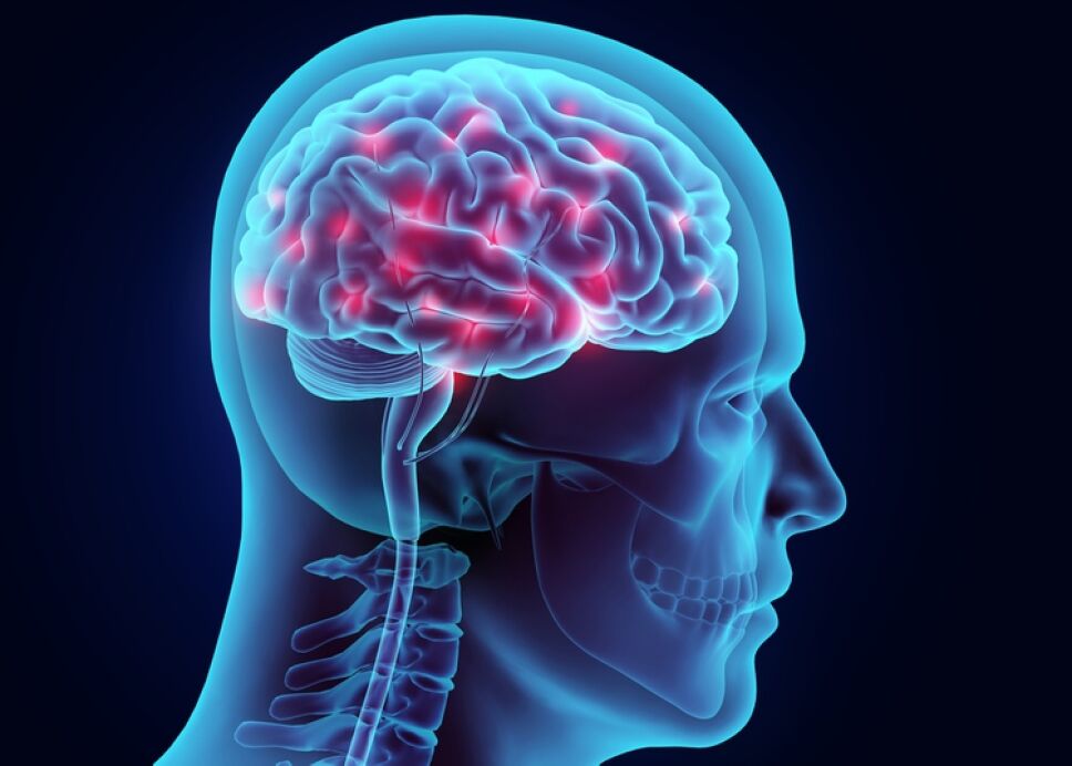 CEREBRO-COVID-19