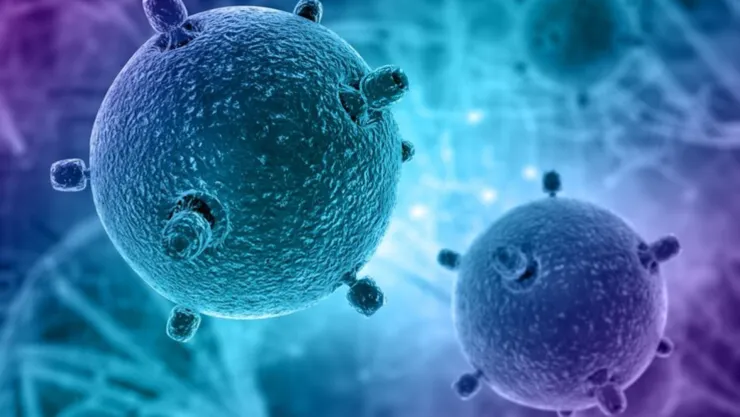 casos de la Bacteria Klebsiella oxytoca en querétaro.jpg