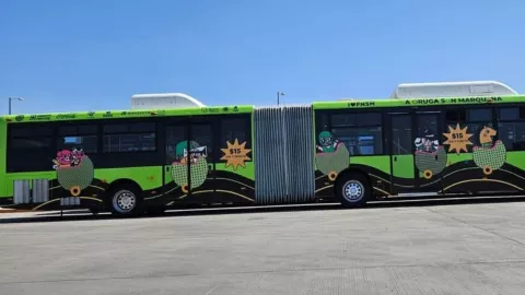 Feria de San Marcos 2025 ¿Dónde tomar los camiones orugas en Aguascalientes