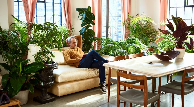 plantas interior