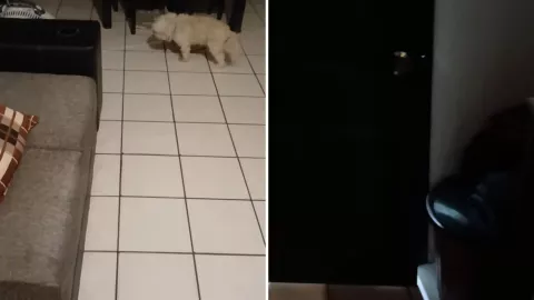 Joven vive aterradora experiencia al regresar de vacaciones VIDEO.jpg