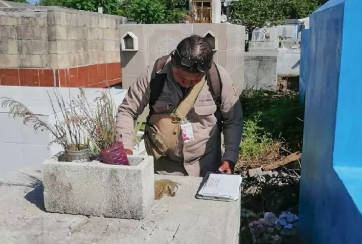 Refuerza acciones contra el dengue en panteones de Quintana Roo ante Día de Muertos