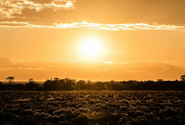Ola de calor en Guanajuato