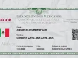 Nueva CURP.