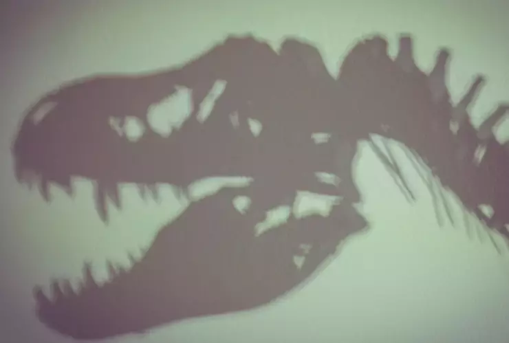 Sombra del esqueleto de un dinosaurio