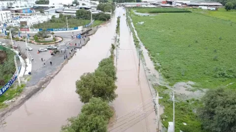 Marqués del Río.jpg