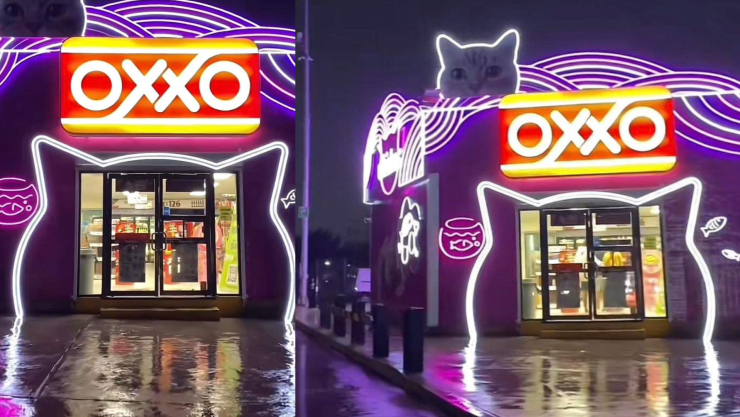 michi-oxxo en querétaro