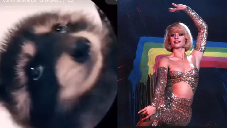 quién es raffaella carrá de la canción pedro.jpg