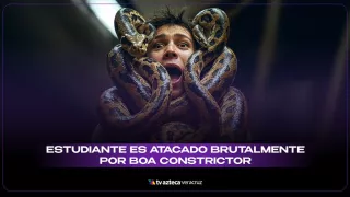 La mordida de una boa constrictor, aunque no venenosa, puede causar lesiones graves