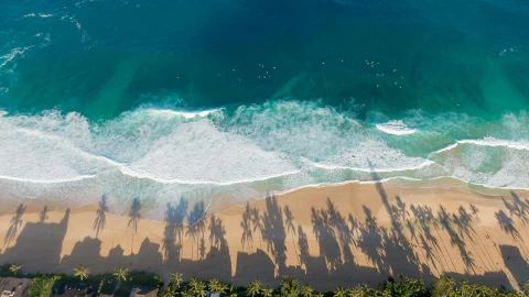 Alerta de tsunami en el Pacífico tras sismo en Rusia.jpg