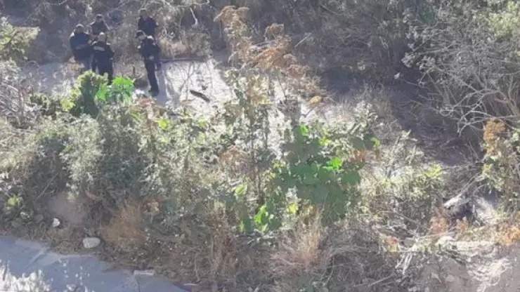 cuerpos-zapopan-bolsas-de-plástico