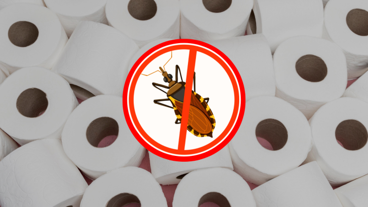 /estilo-de-vida/repelente-casero-tubos-papel-higiénico-cucarachas