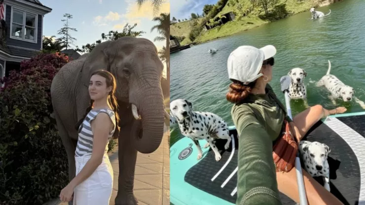 Pasos para agregar animales a tus fotos con IA: ¿Cuál es el prompt perfecto?