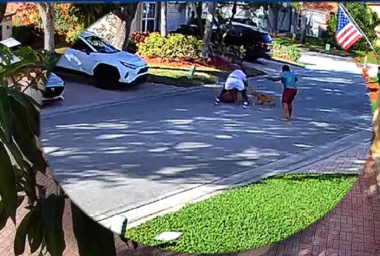 Ataque de Pitbull en Florida.