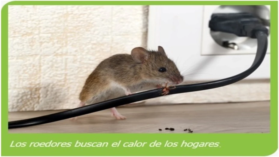 Horribles sorpresas navideñas.jpg