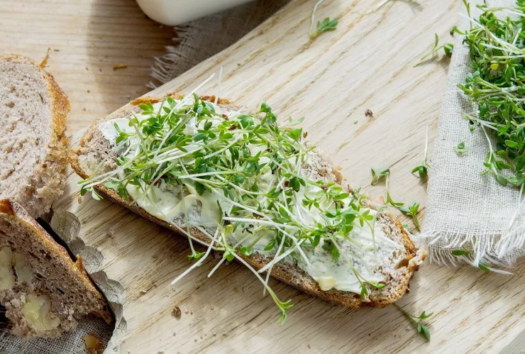 Este es el superalimento que aporta numerosos beneficios al organismo