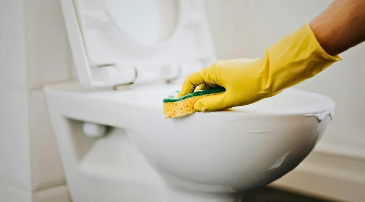 eliminar el sarro de la taza del baño.jpg