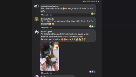 comentarios perrito perdido dibujo.jpg