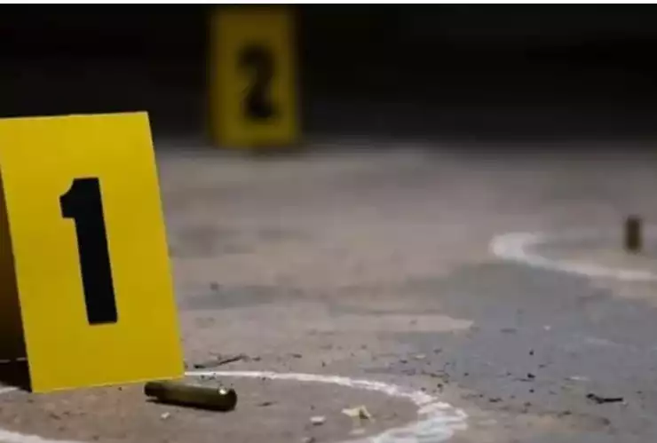 Roberto Toledo colaborador Michoacán