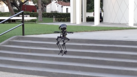 Dron, volar, patinar B.jpg