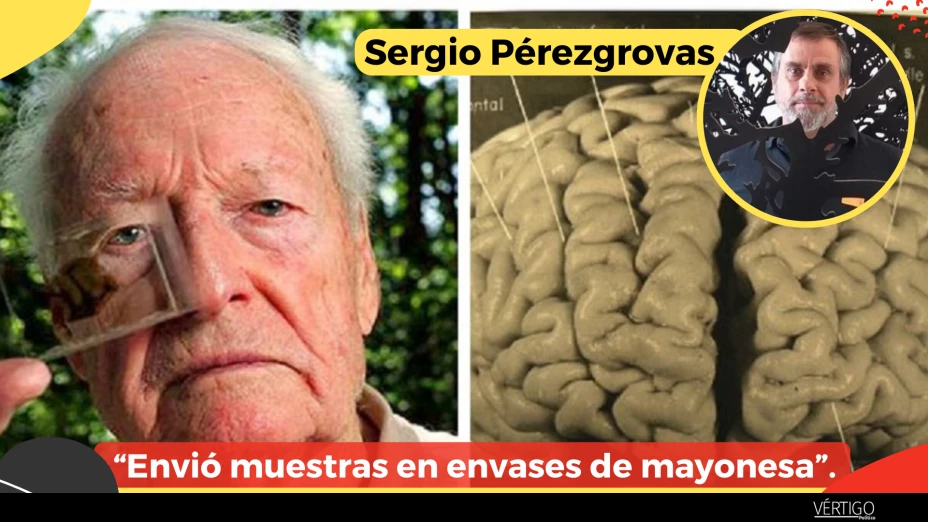 Copia de COLUMNAS (1920 × 1080 px)-17.png