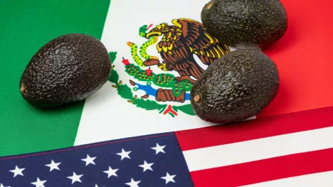 Qué son los aranceles, la medida que Trump quiere imponer a México y qué productos serían los más afectados