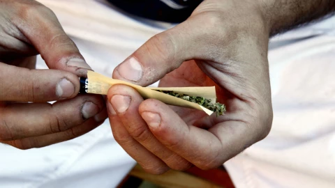 Universitarios logran cifra histórica en consumo de marihuana