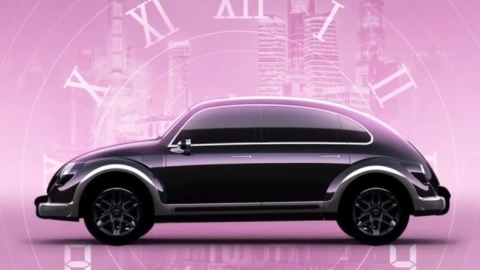 volcho china eléctrico 2.jpg