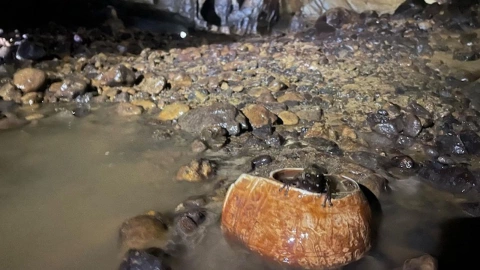 arqueologia-guerrero