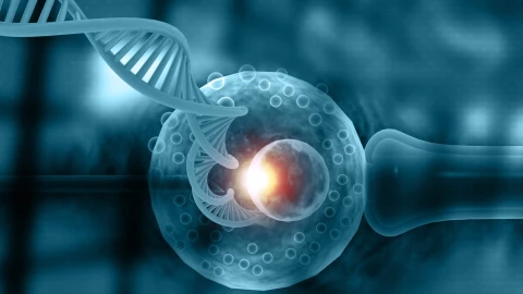 bebe-adn-de-tres-personas-nace-reino-unido