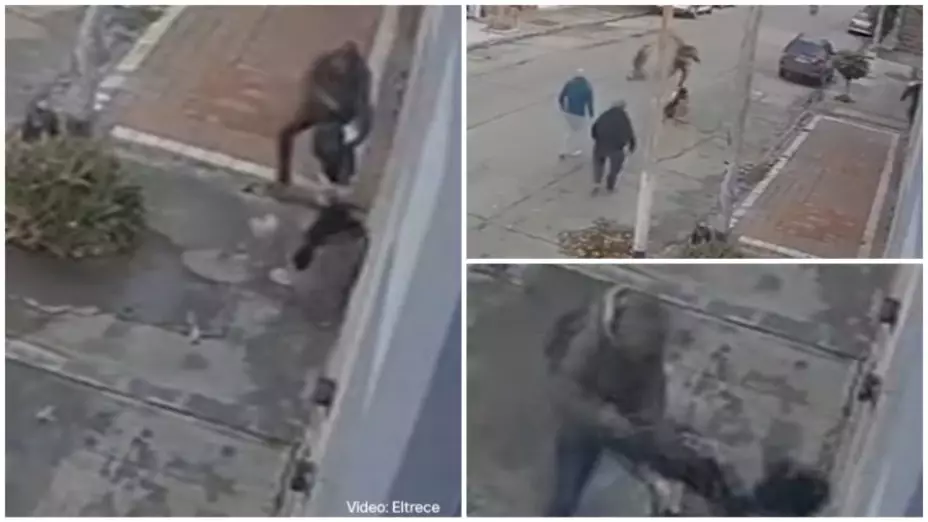 ¡Le quisieron robar a su perrita en Mar del Plata! Dramático forcejeo en la calle