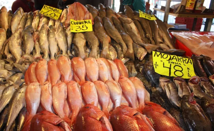 cuaresma 2023 tips para comprar pescado y mariscos frescos
