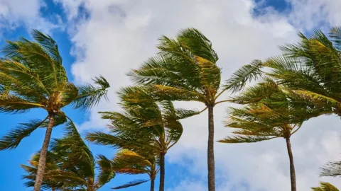 ¿Hasta cuándo estarán los vientos de Santa Ana en Tijuana este mes de enero de 2025?