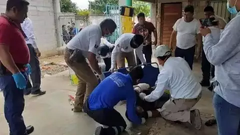 Pitbull casi arranca el brazo de un ladrón; piden sacrificarlo