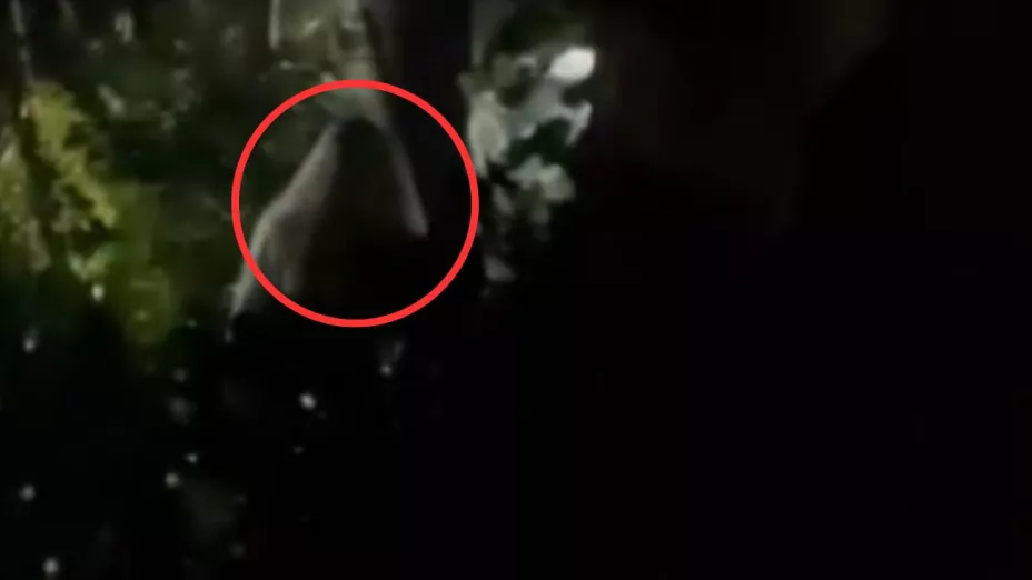 Demonio en pueblo de Veracruz