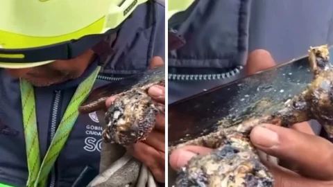 explosión pipa Zaragoza.jpg