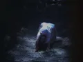 exorcismo-Lo-Que-La-Gente-Cuenta