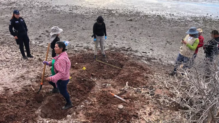 Localizan fosas clandestinas en Juan José Ríos