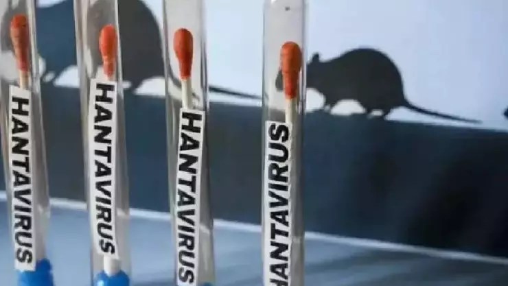 ¡Urgente! Confirman a dos personas contagiadas de HANTAVIRUS en Estados Unidos; esto se sabe